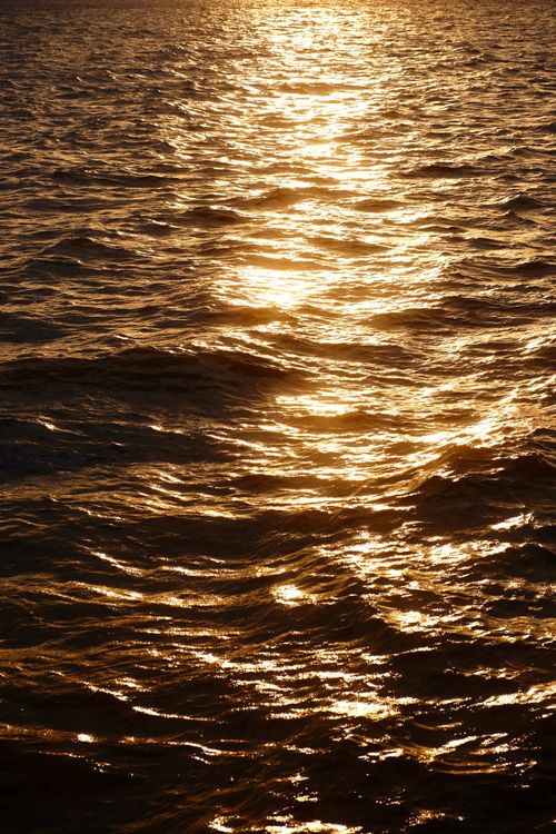 Free A captivating view of golden sunlight reflecting on ocean waves during a serene sunset. Stock Photo