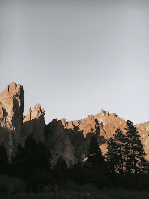 Free Mountains and Trees in Oregon Stock Photo