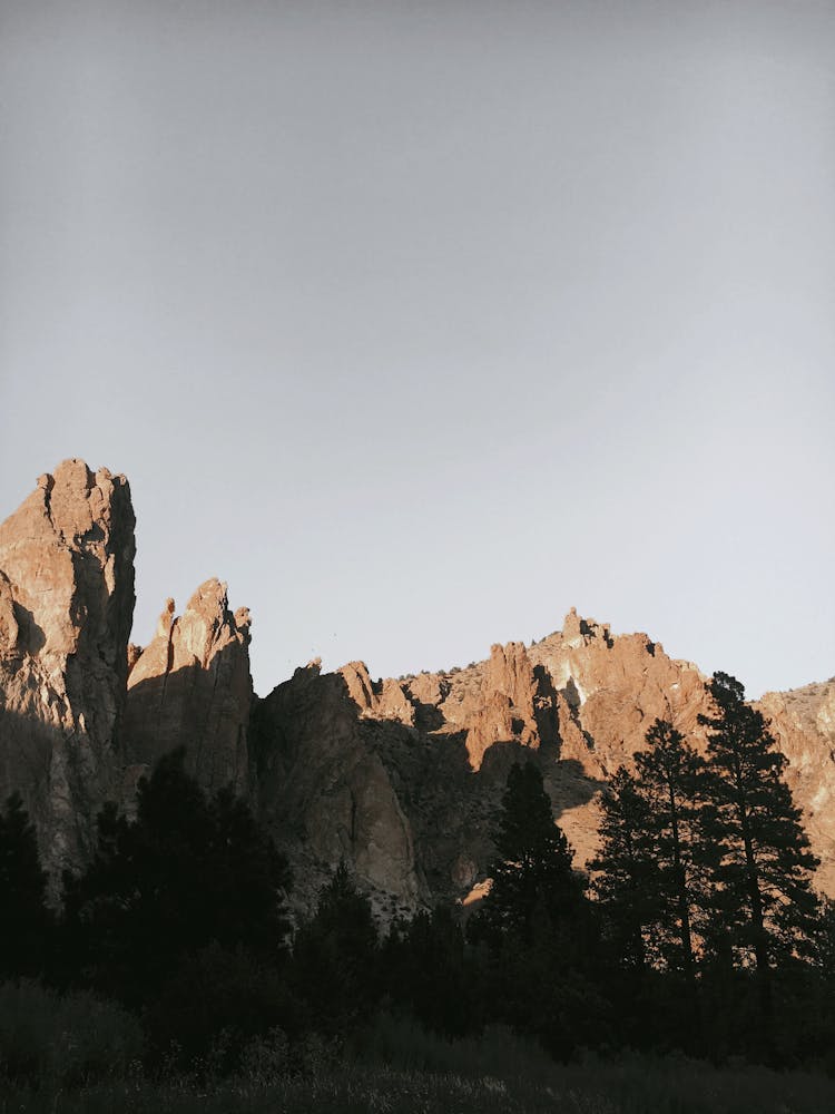 Mountains And Trees In Oregon