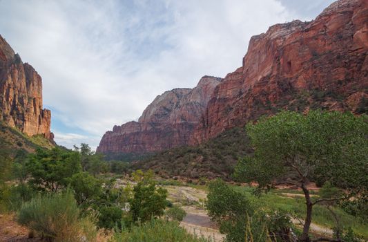 Stunning view of Zion National Park's rugged canyon and red rock formations at dawn.