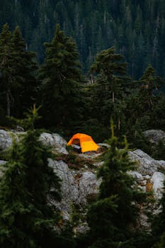 Bright orange tent nestled amidst a lush forest and rocky terrain, creating a perfect camping adventure scene.