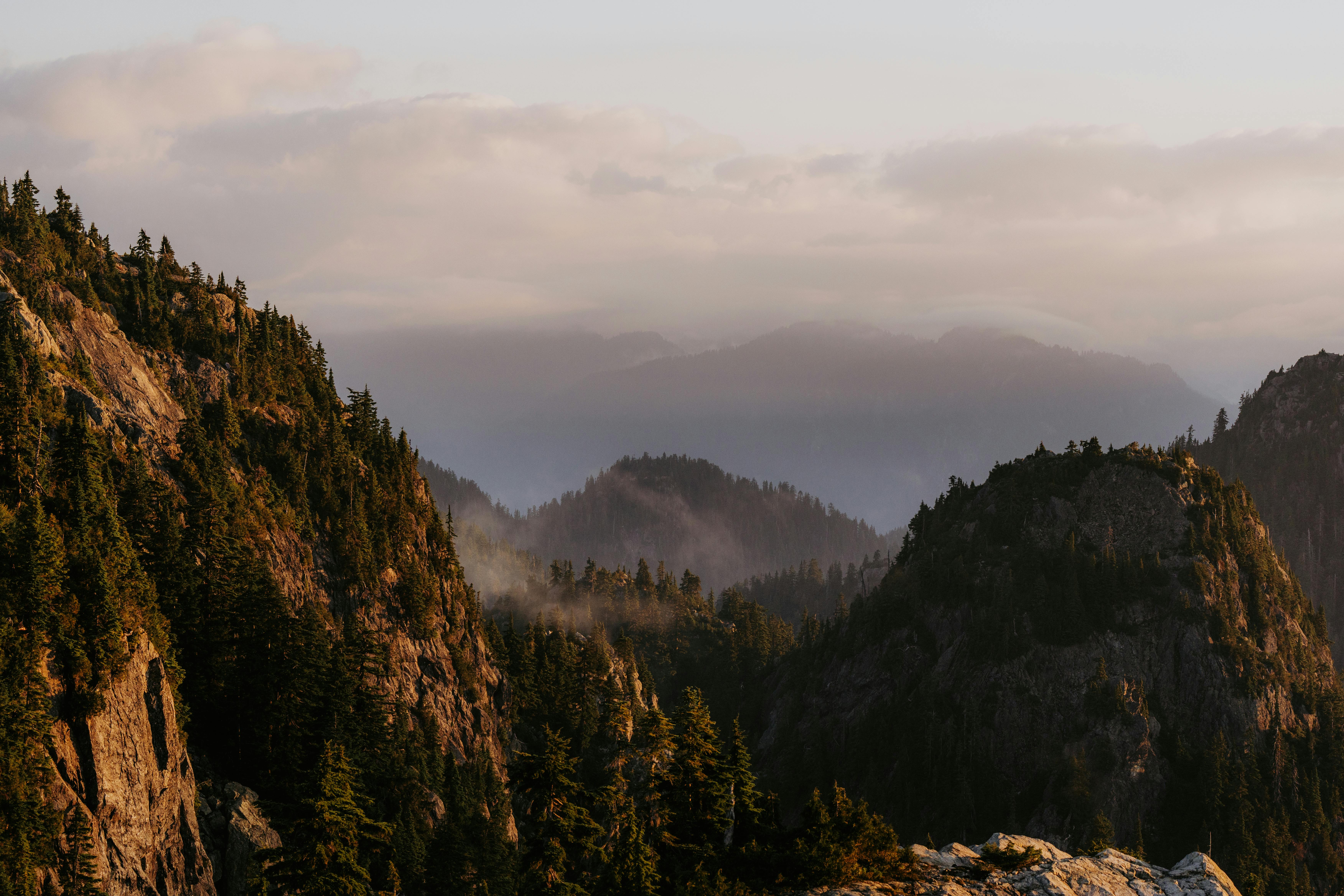 a view of the mountains and trees at sunset