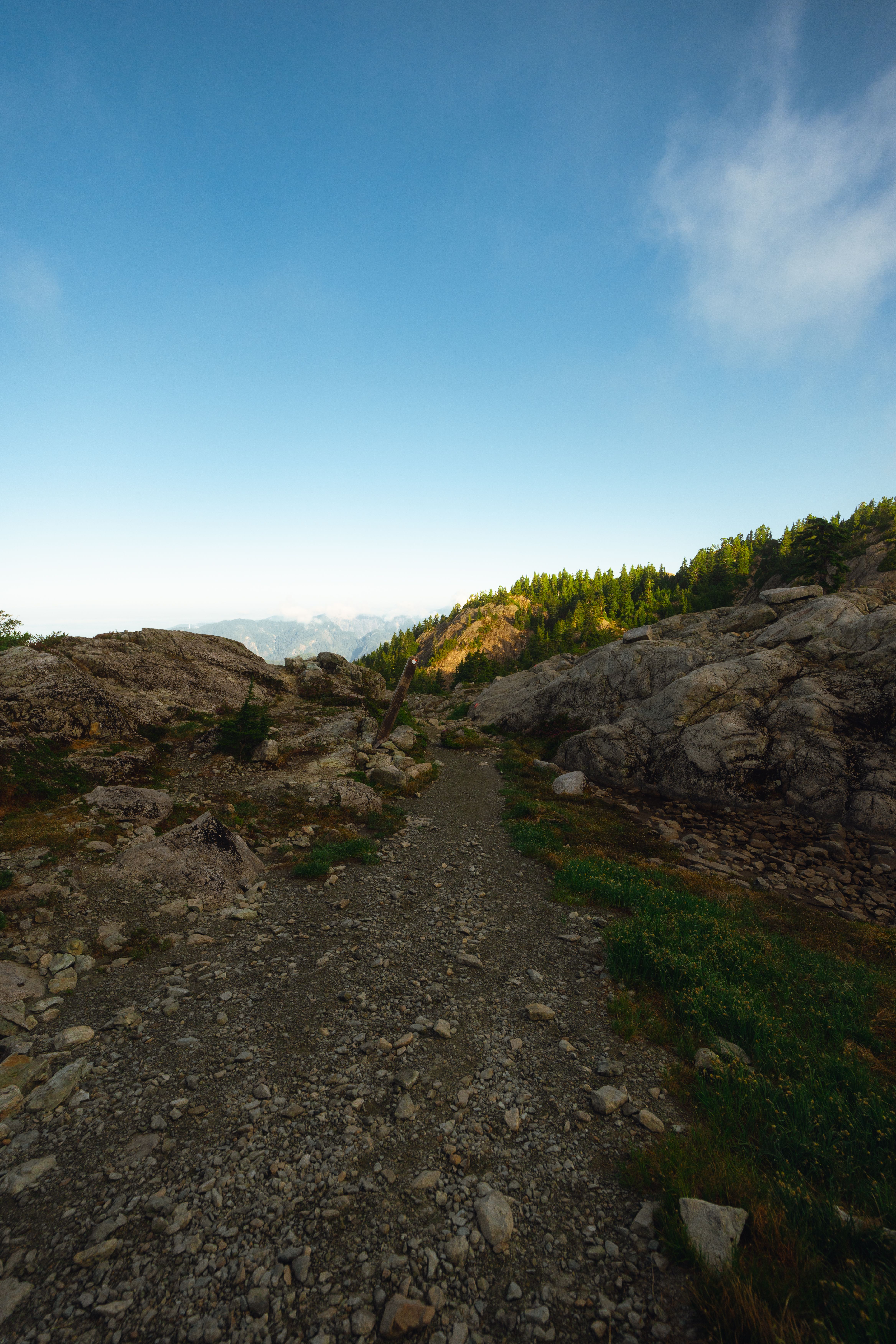 A dirt trail with rocks and grass on it · Free Stock Photo