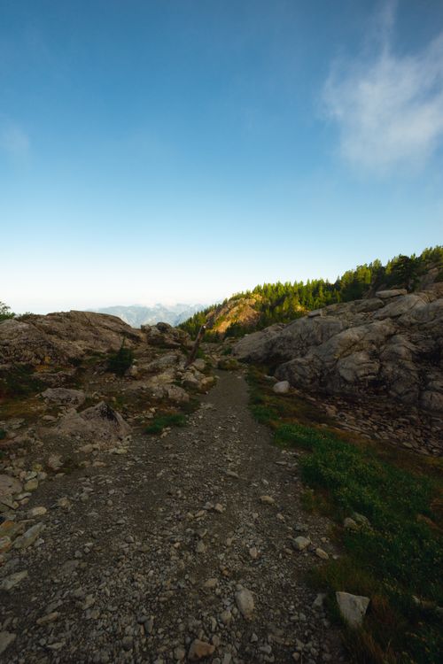 Dirt Path Rocks A dirt trail with rocks and grass on it · Free Stock Photo