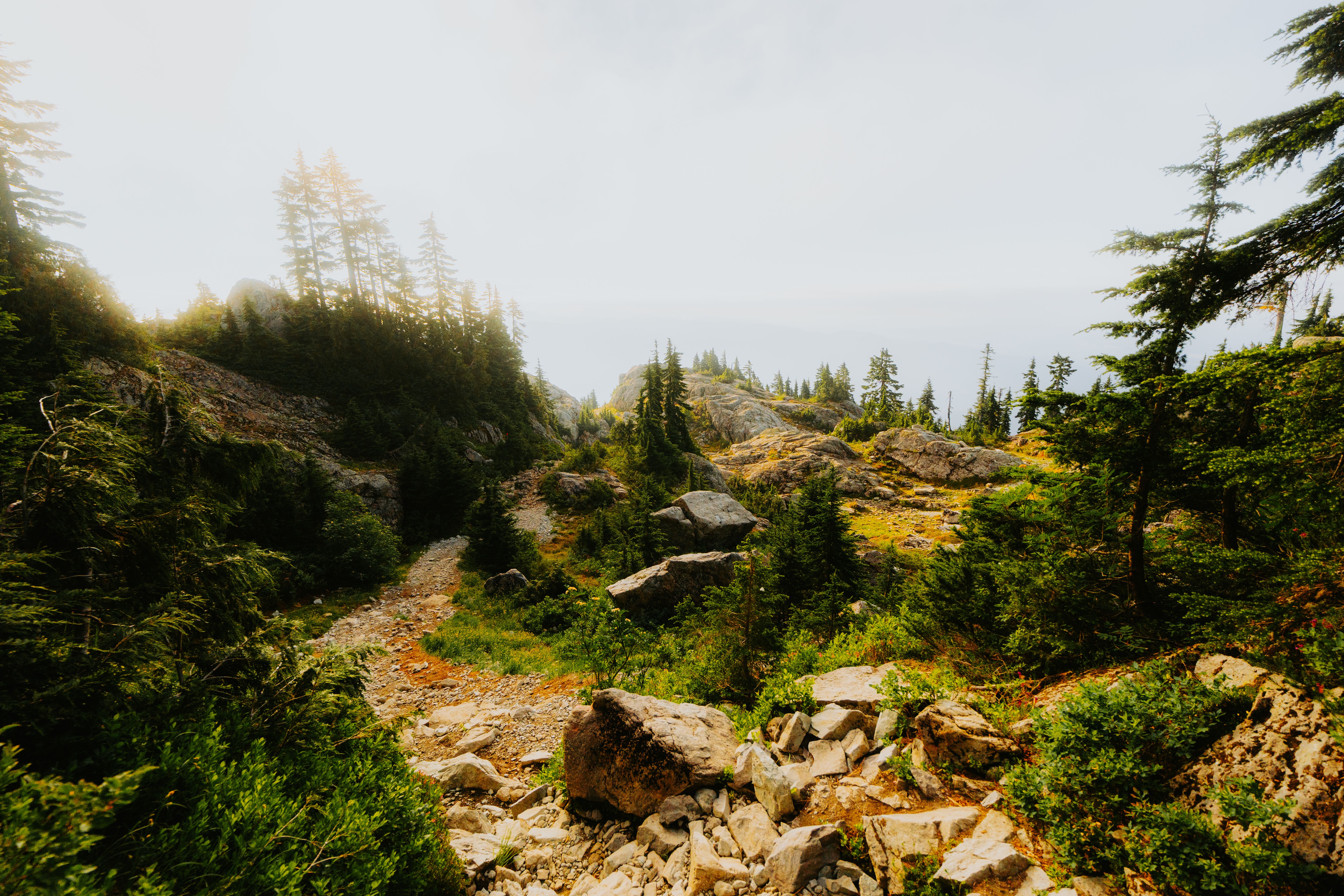 A rocky trail with trees and rocks in the distance · Free Stock Photo