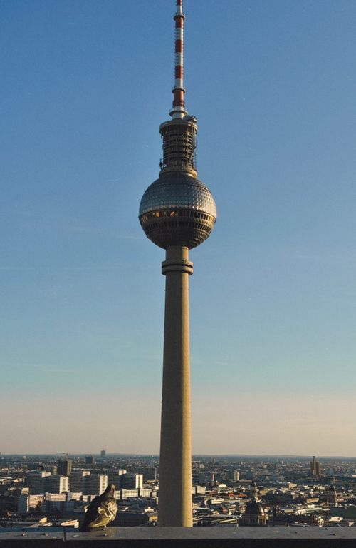 Free Stunning view of the Berliner Fernsehturm Tower dominating the Berlin skyline under clear skies. Stock Photo