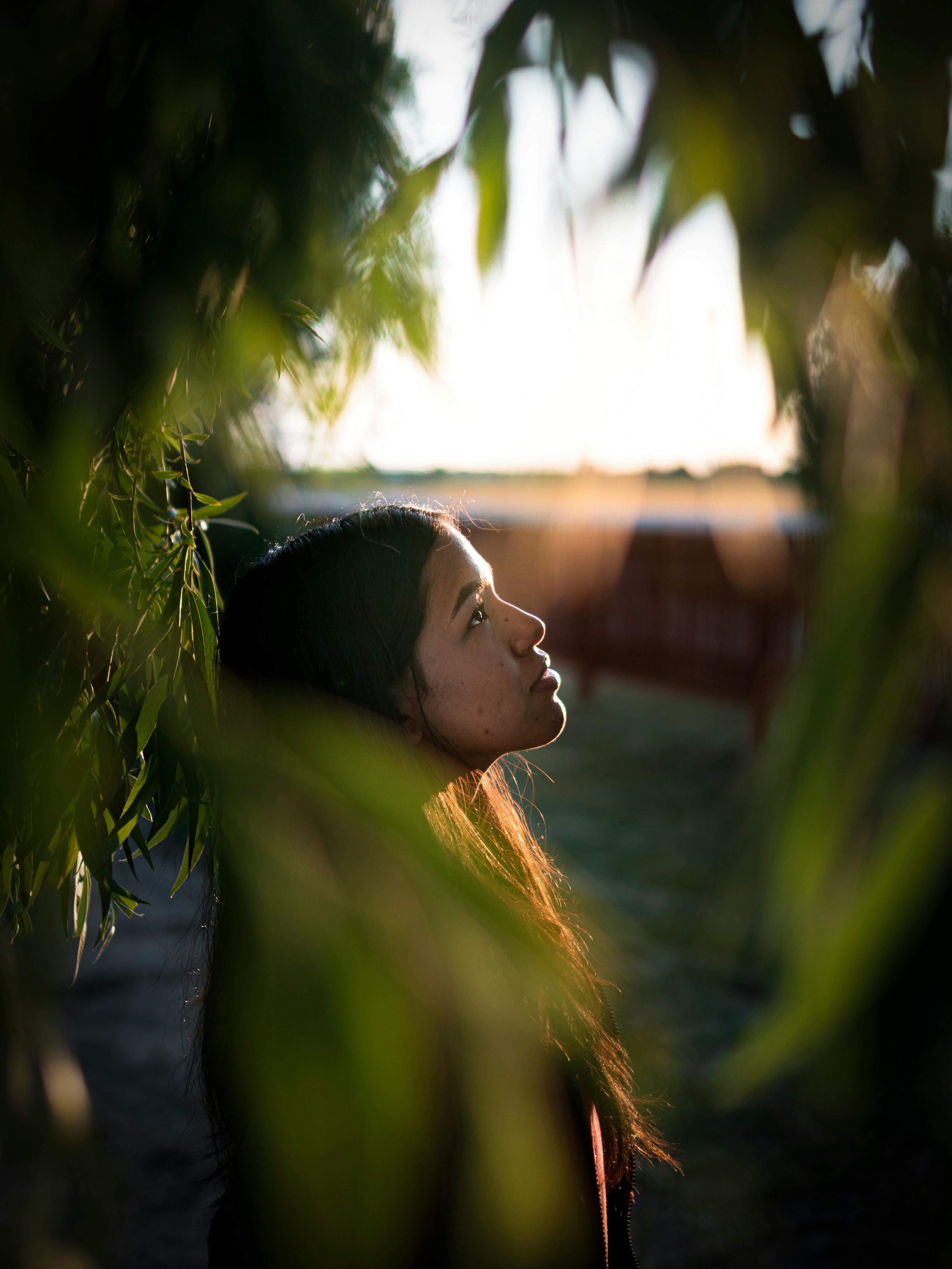 A woman gazes thoughtfully among leaves, bathed in warm, soft lighting.