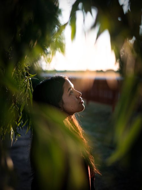 Free A woman gazes thoughtfully among leaves, bathed in warm, soft lighting. Stock Photo