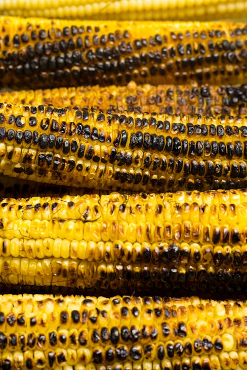 Grilled Corns