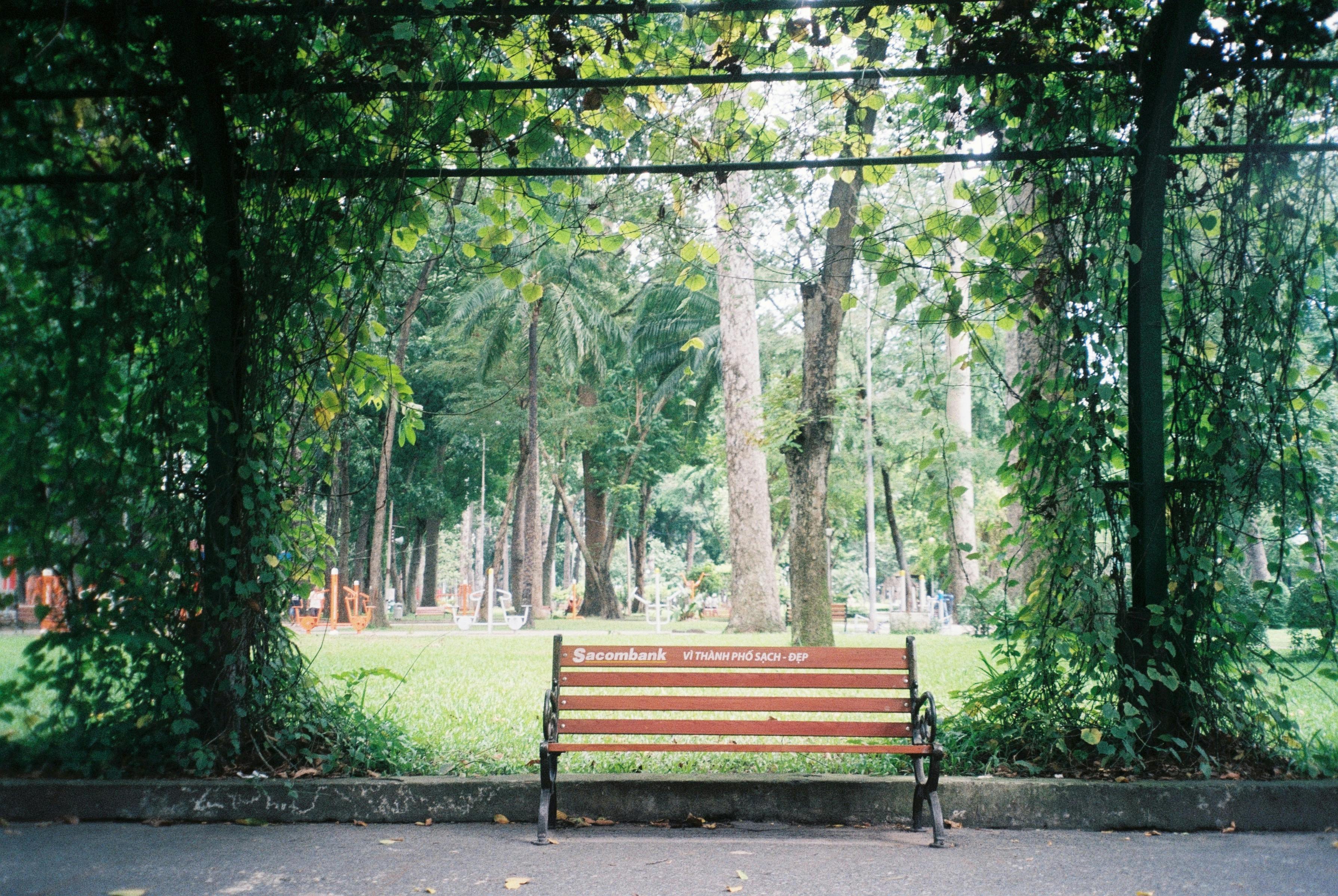 무료 35 mm, 35mm 필름, 경치의 무료 스톡 사진