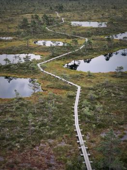 A serene boardwalk winds through the lush wetlands in Eidapere, Estonia, showcasing nature's tranquility.