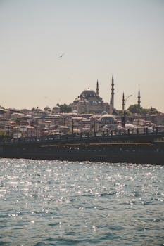 阳光明媚的伊斯坦布尔标志性清真寺前，博斯普鲁斯海峡映入眼帘