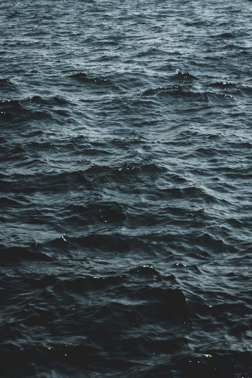 Gratis lagerfoto af bølger, flydende tilstand, hav