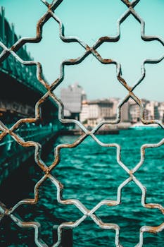 透过生锈的装饰围栏，可以欣赏到以水和城市景观为背景的城市风光