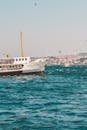 船只以城市景观为背景，在伊斯坦布尔港口航行，周围环绕着海鸥