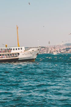 船只以城市景观为背景，在伊斯坦布尔港口航行，周围环绕着海鸥