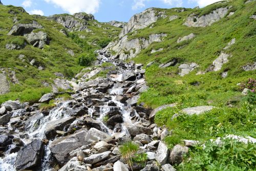 Free A picturesque mountain stream cascades over rocks surrounded by lush greenery under a clear blue sky. Stock Photo