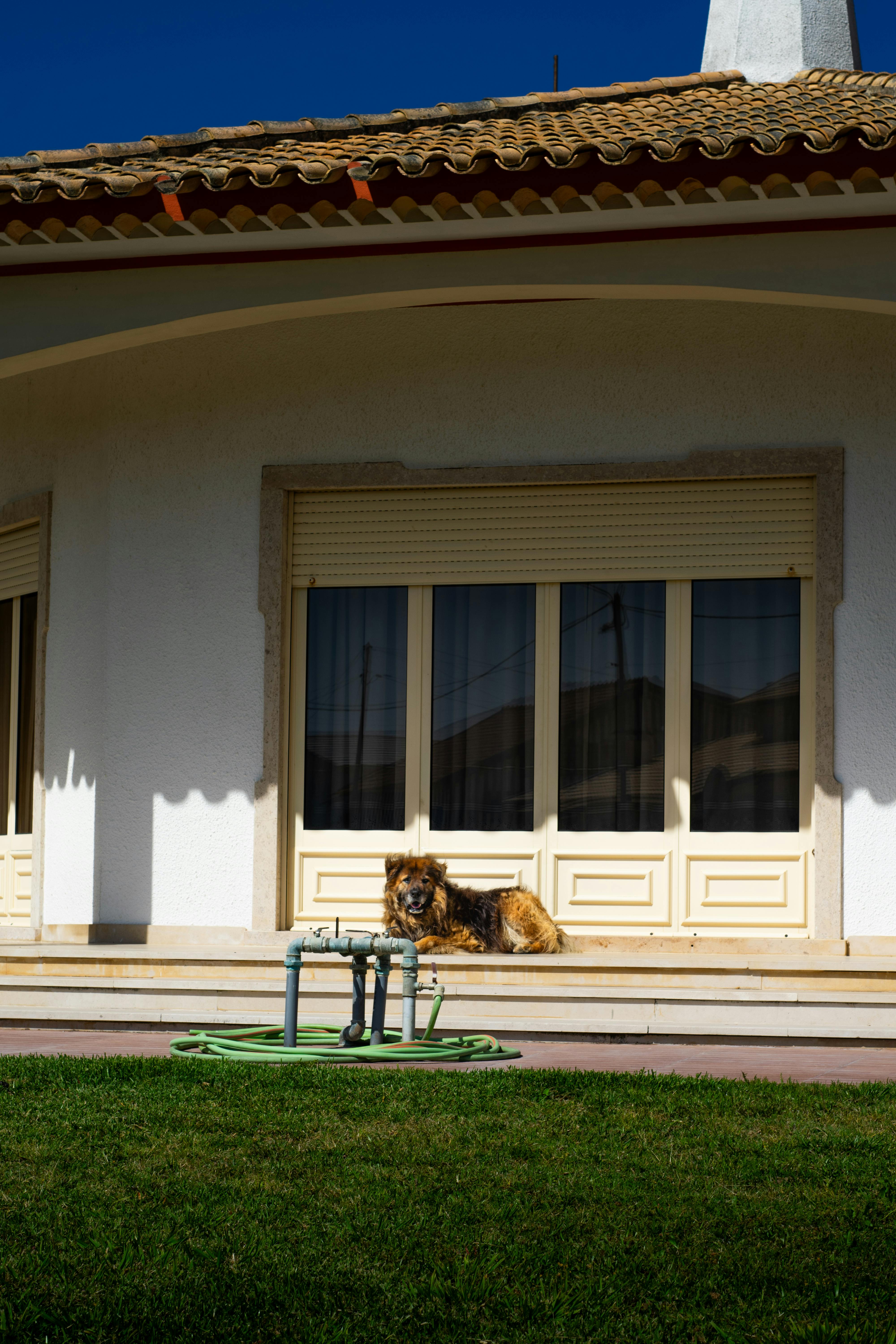 Fertige Hundehütte