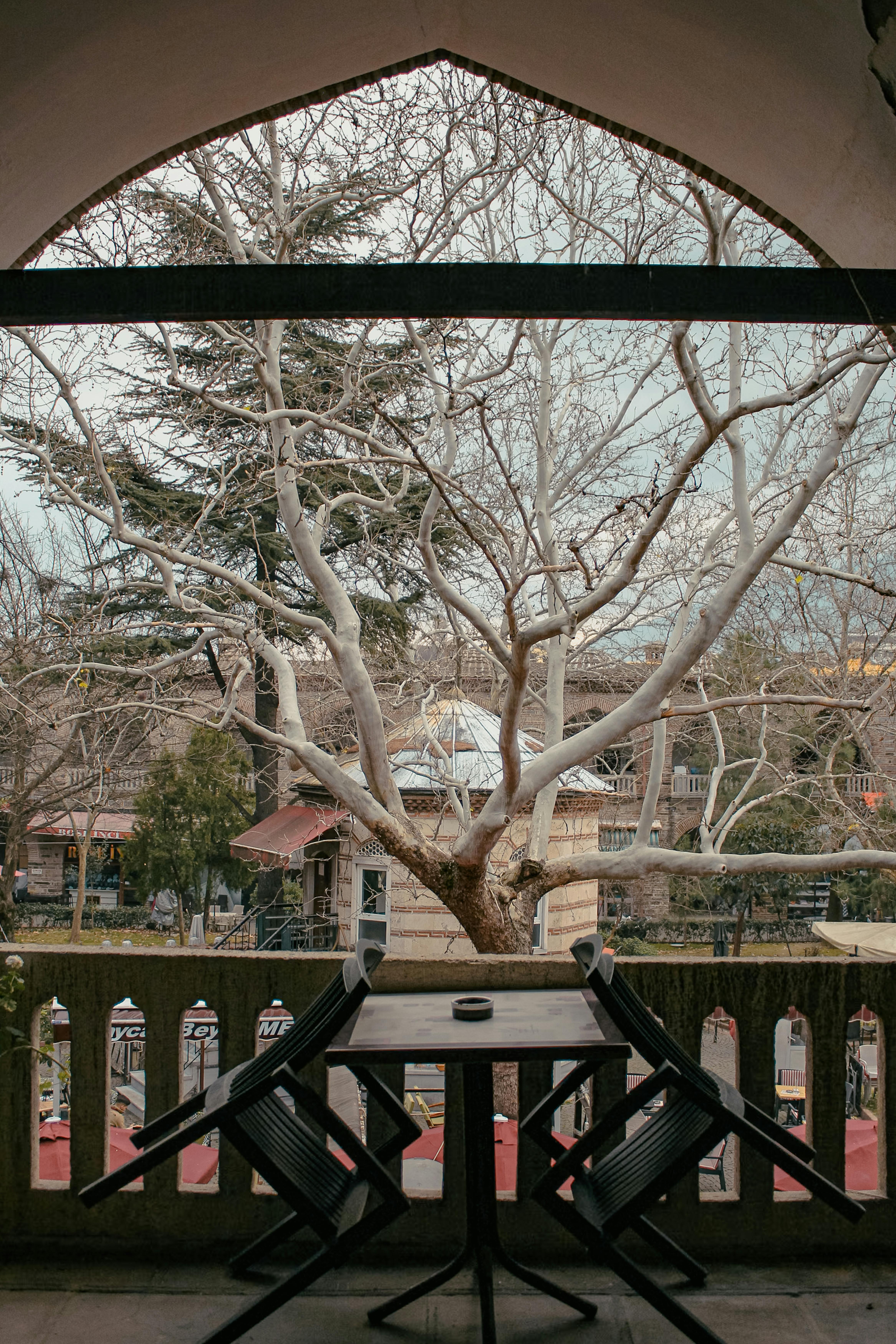 a view of a tree from a balcony