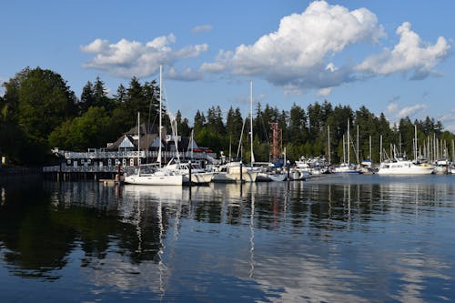 Free stock photo of boats