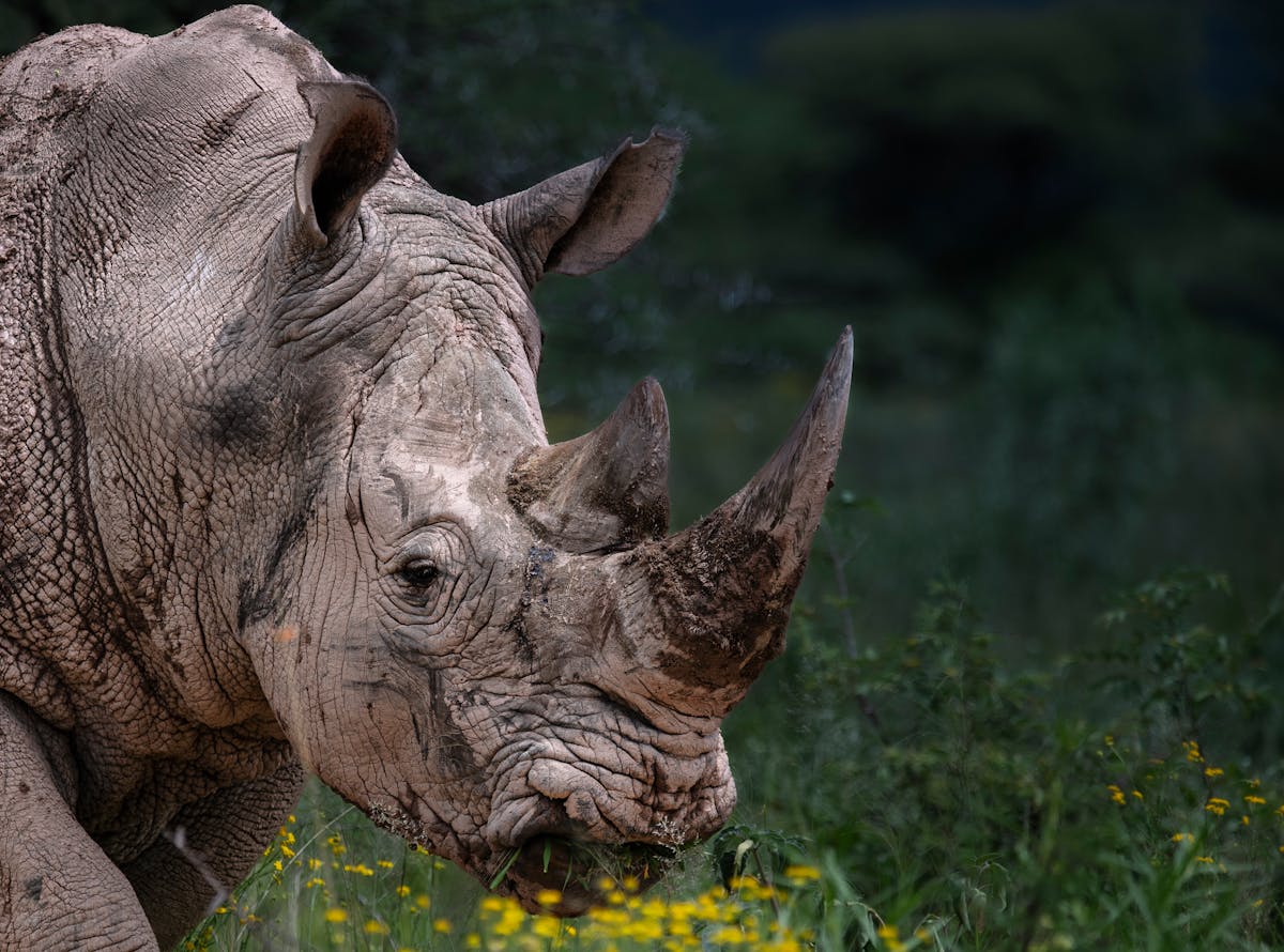 Corinna Kopf Photos Download The BEST Free Corinna Kopf Stock Photos