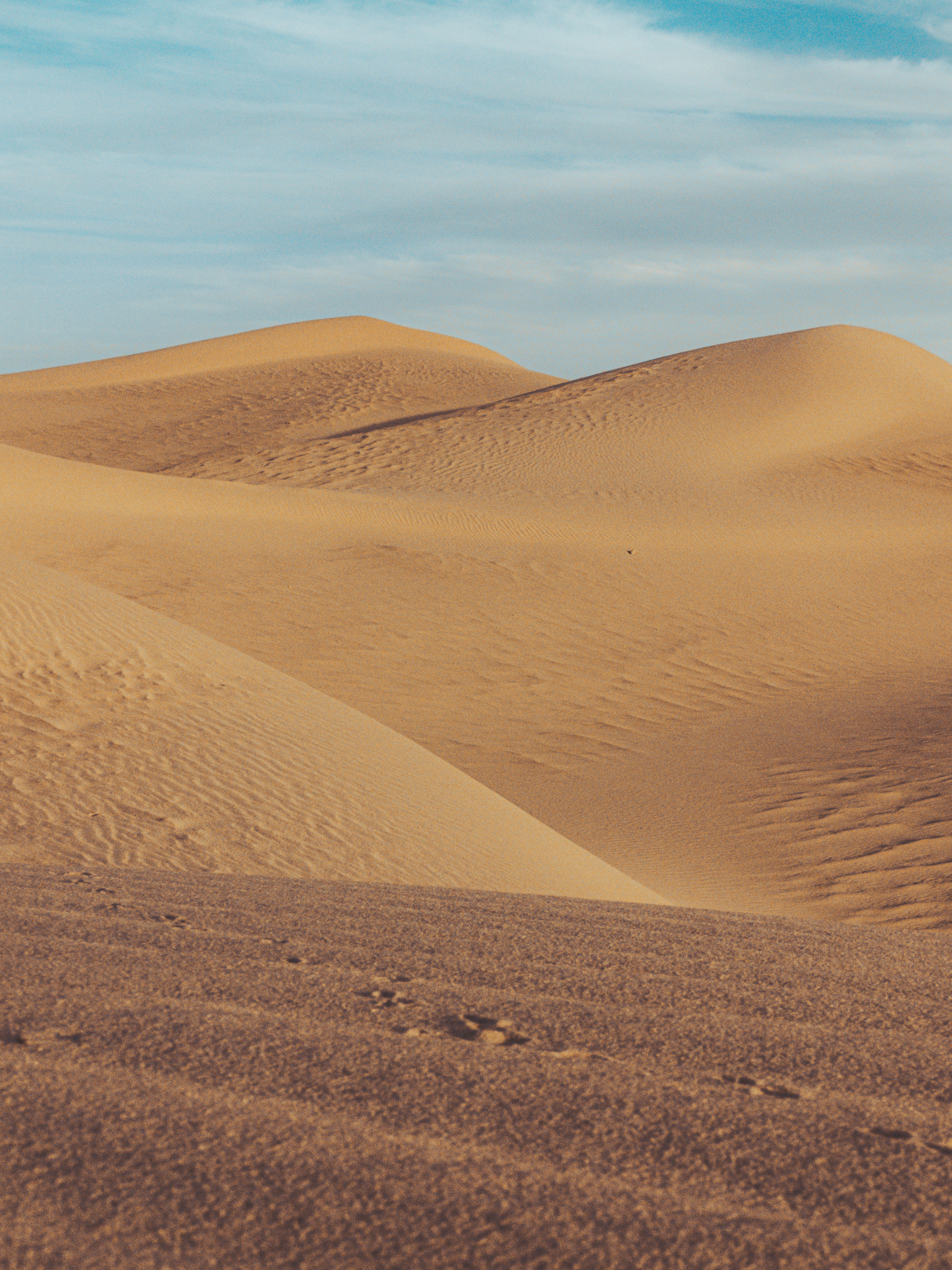 The 8 Deserts of the United States and What Makes Each Unique