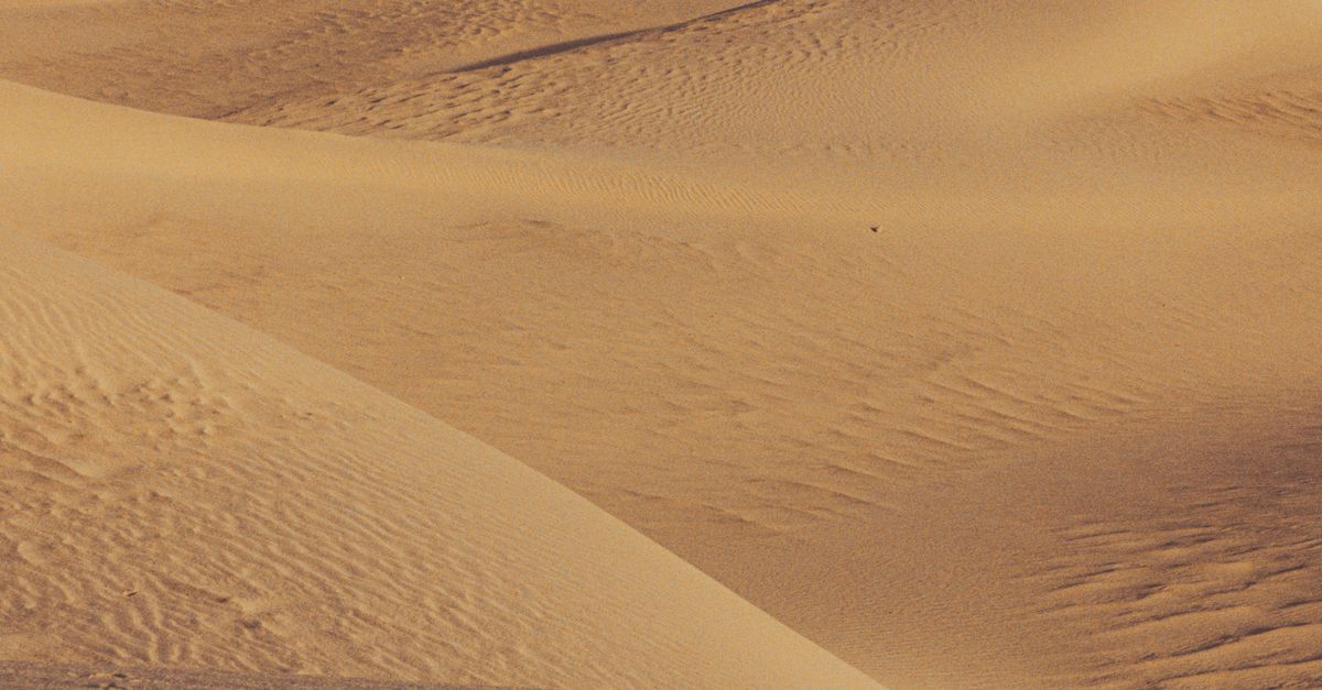 Explorando 8 desiertos y ambientes extremos con vida resistente Explorando 8 desiertos y ambientes extremos con vida resistente