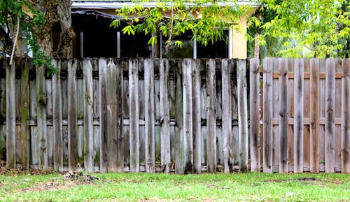 Free stock photo of driftwood, fence