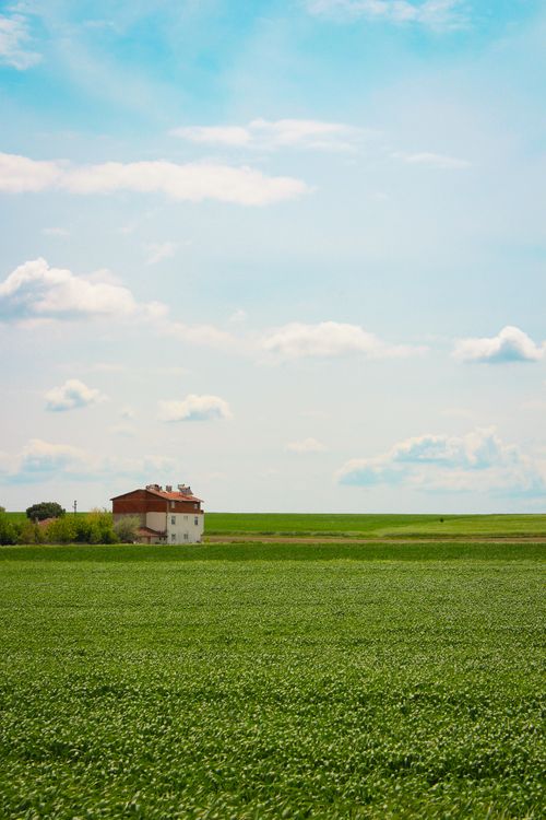 Free Charming rural scene with a farmhouse surrounded by lush green fields under a blue sky. Stock Photo