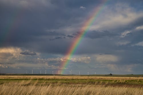 Foto profissional grátis de agricultura, arco-íris, área