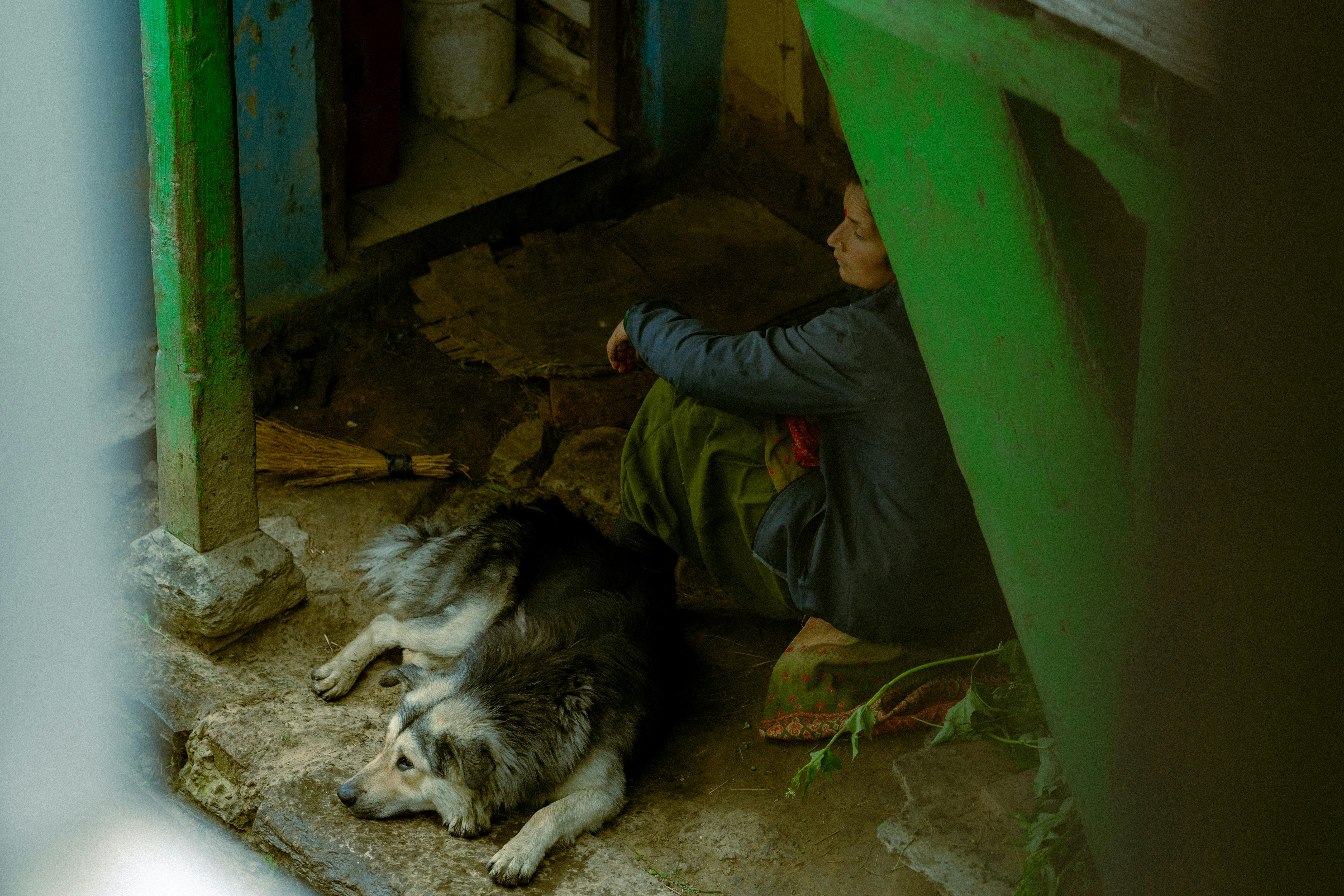 riviera maya hidden gems off the beaten path - A woman sits resting with a large dog in a rustic, outdoor setting, evoking a serene mood.