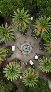 Vibrant aerial shot of a fountain surrounded by palm trees in Huauchinango, Mexico.
