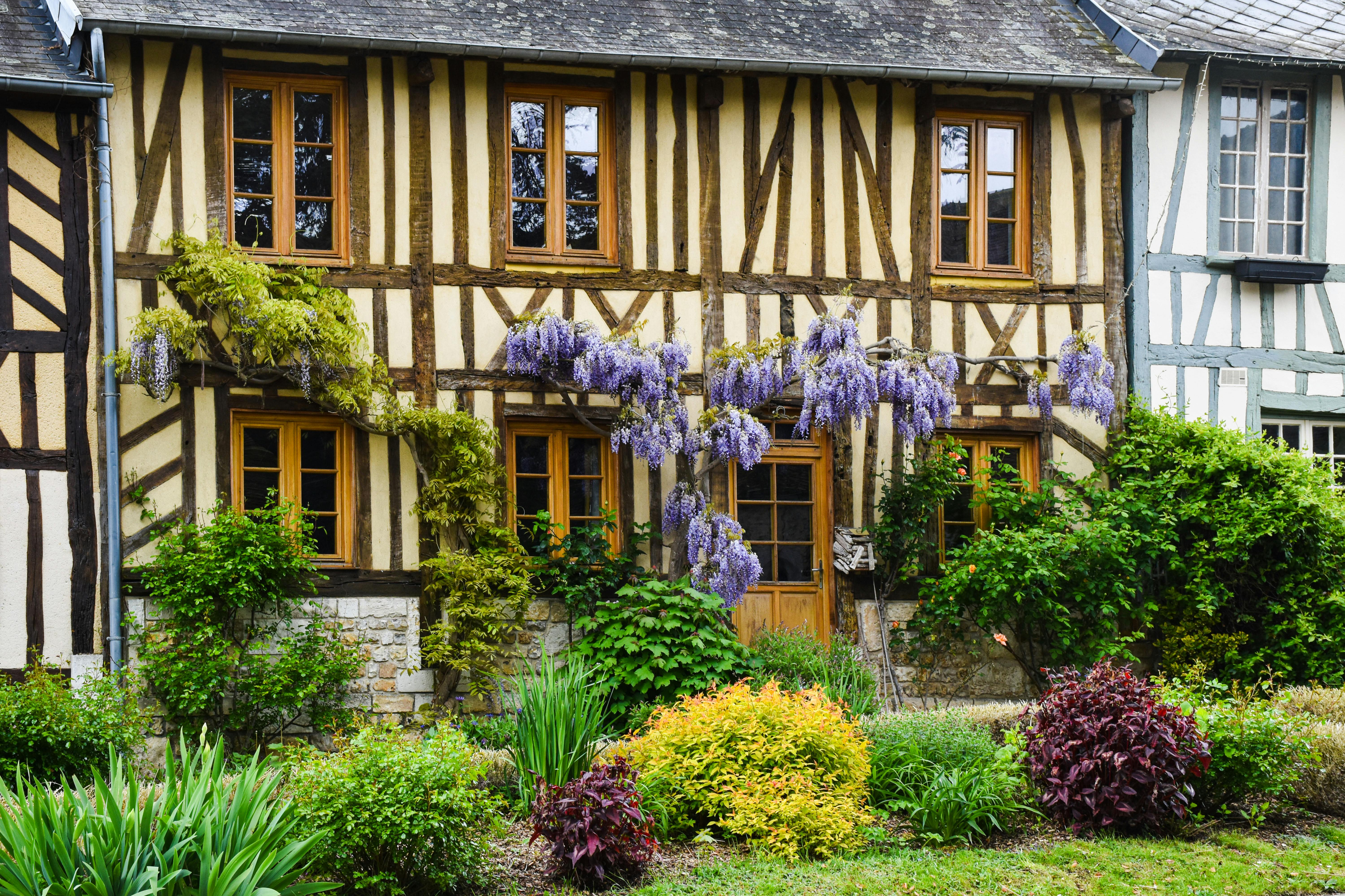 Photos gratuites de à pans de bois, aménagement paysager, architecture française