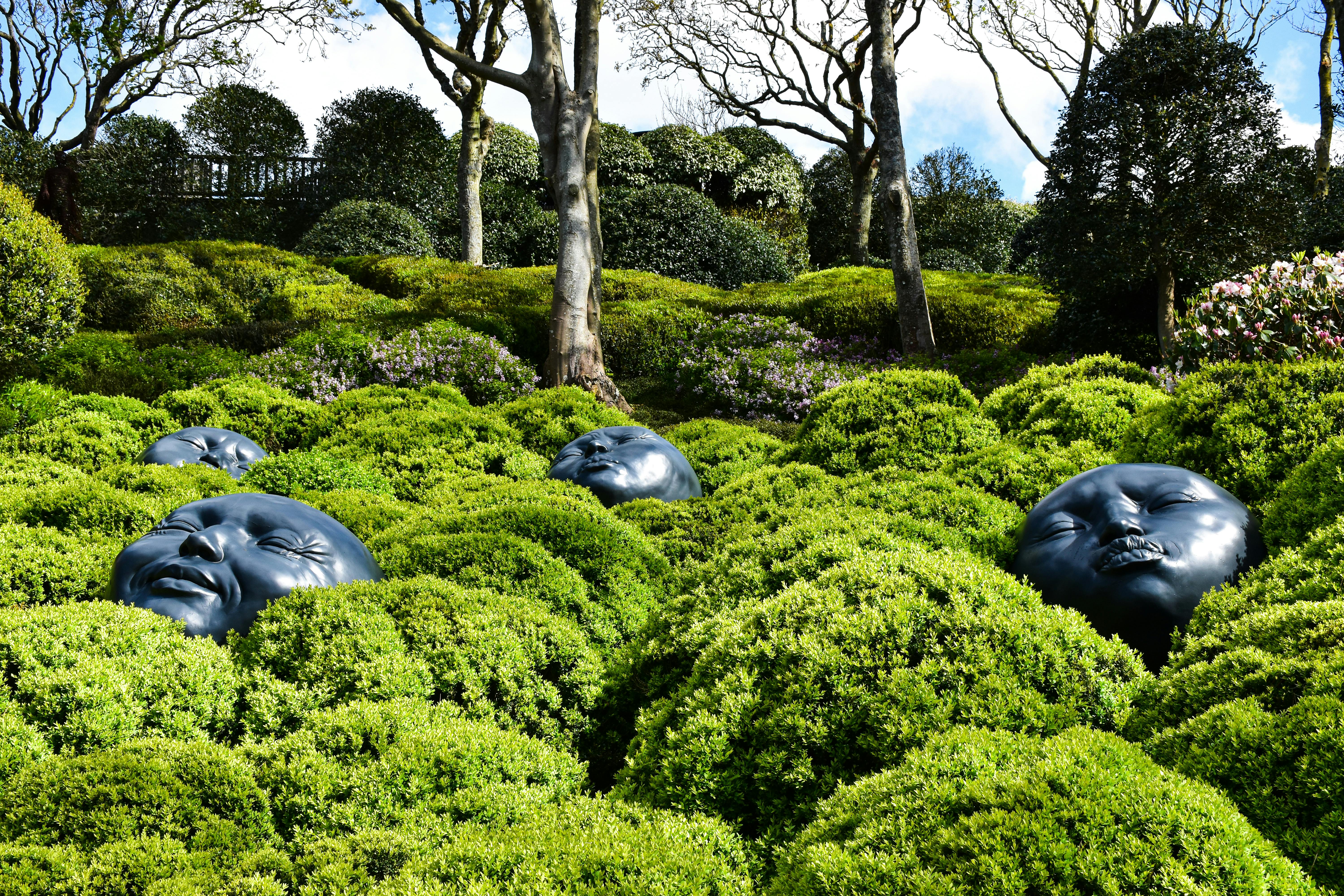 Augmented Reality Exhibitions: Transforming the Way We Experience Art