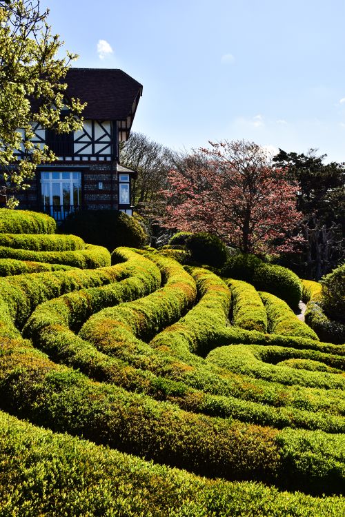 Free Enchanting topiary garden beside a Tudor-style house in a sunny, serene setting. Stock Photo