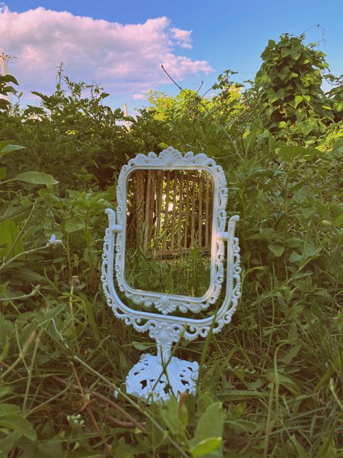 Free An antique white mirror amidst vibrant green garden foliage on a summer day. Stock Photo