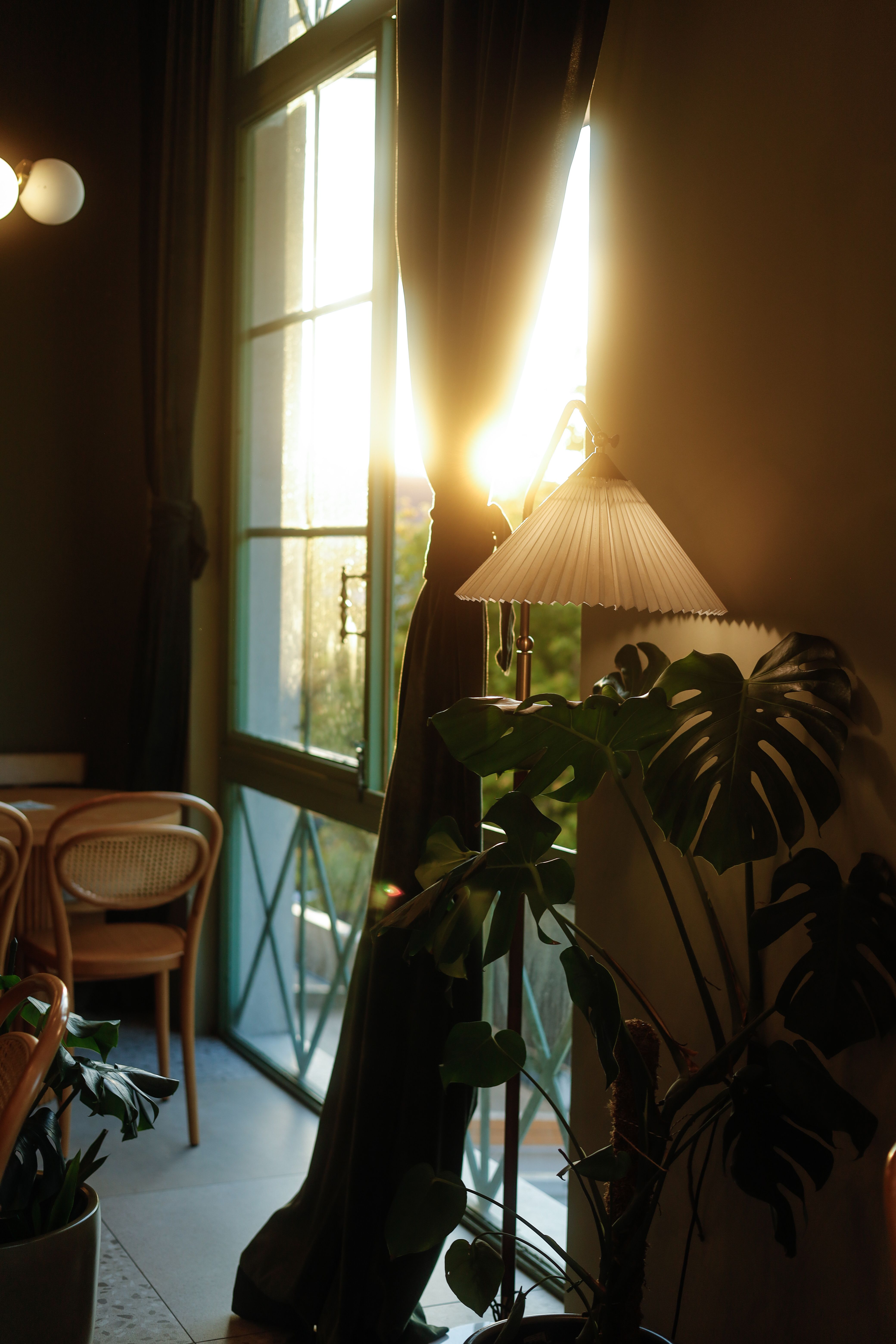 Warm cozy room with natural light streaming through windows highlighting interior design and decor.