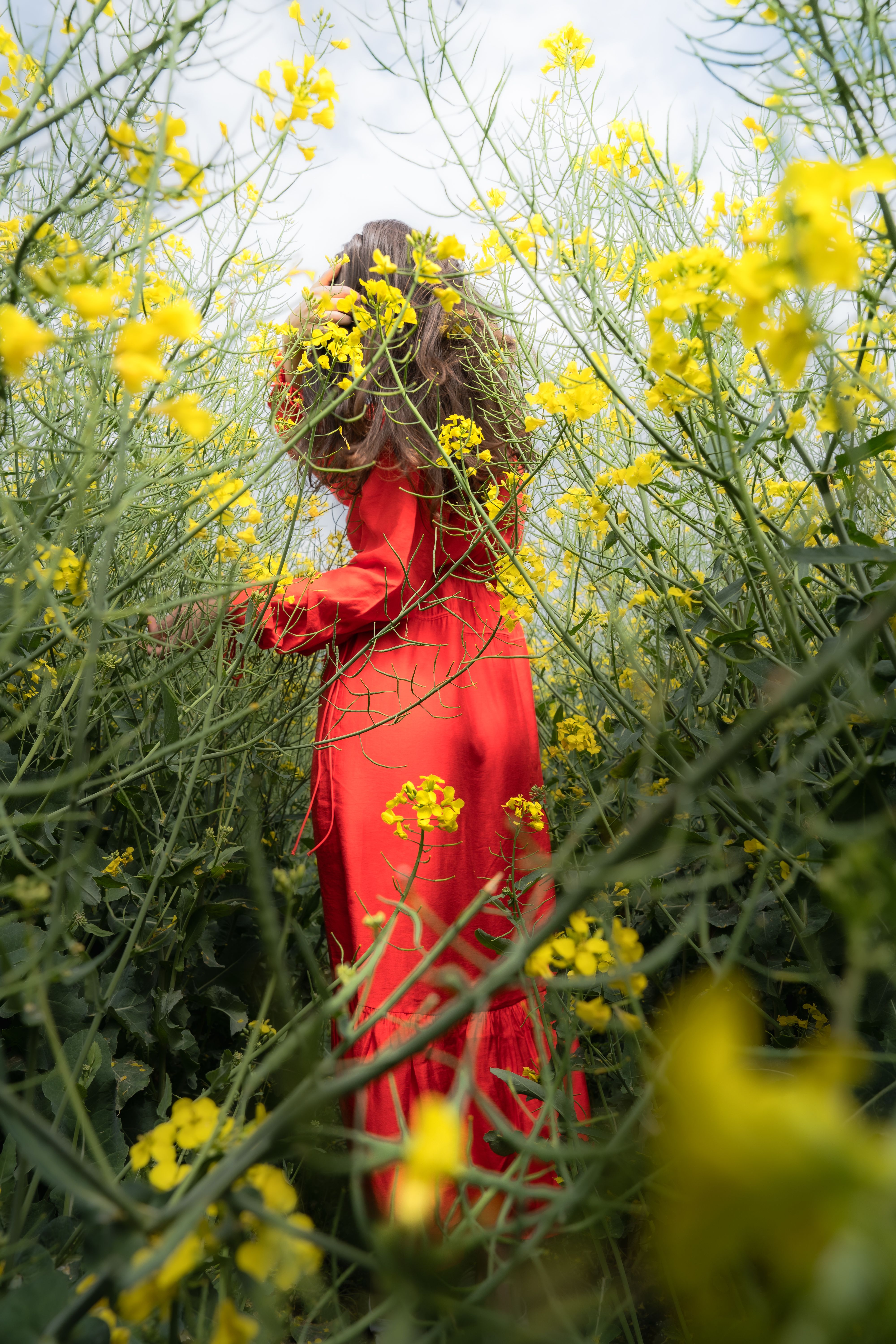 Woman in a Red Dress · Free Stock Photo