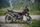 royal enfield himalayan