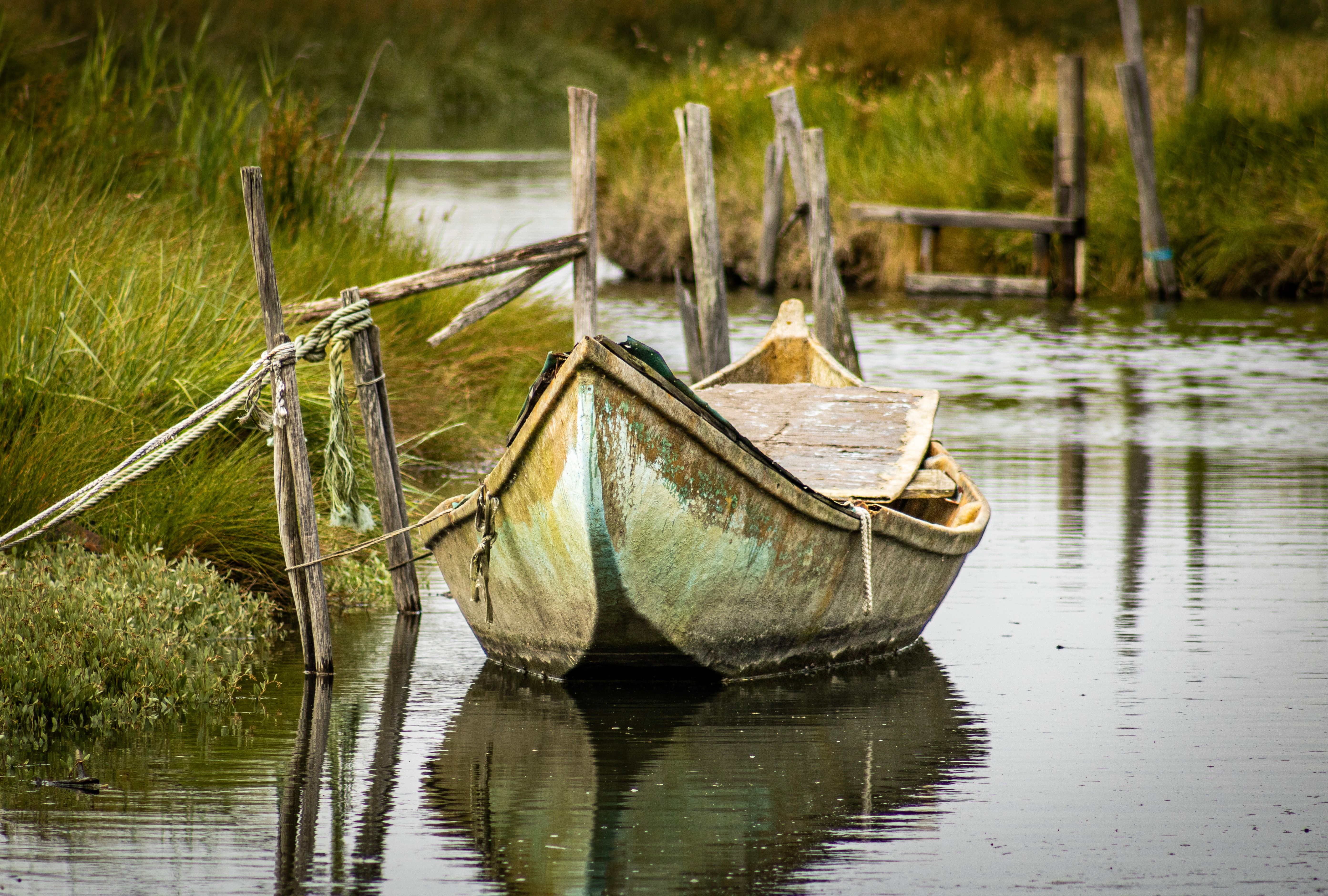 Your Guide to Luxury Botswana Safari Packages