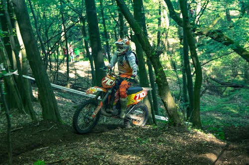 Free stock photo of forest, man, motocross