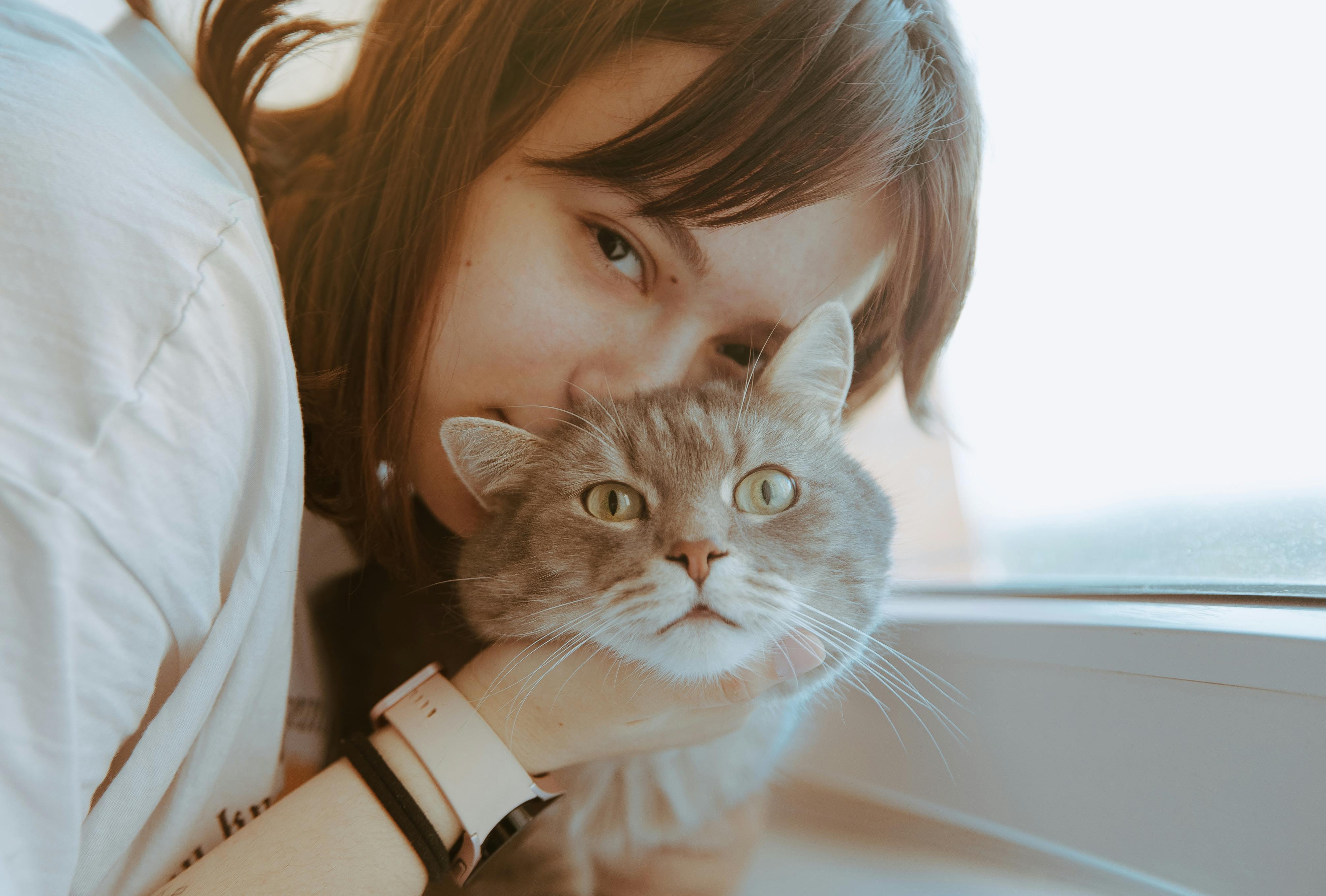 Best Pet Insurance Provider 2026 — Photo by Ninari on Pexels