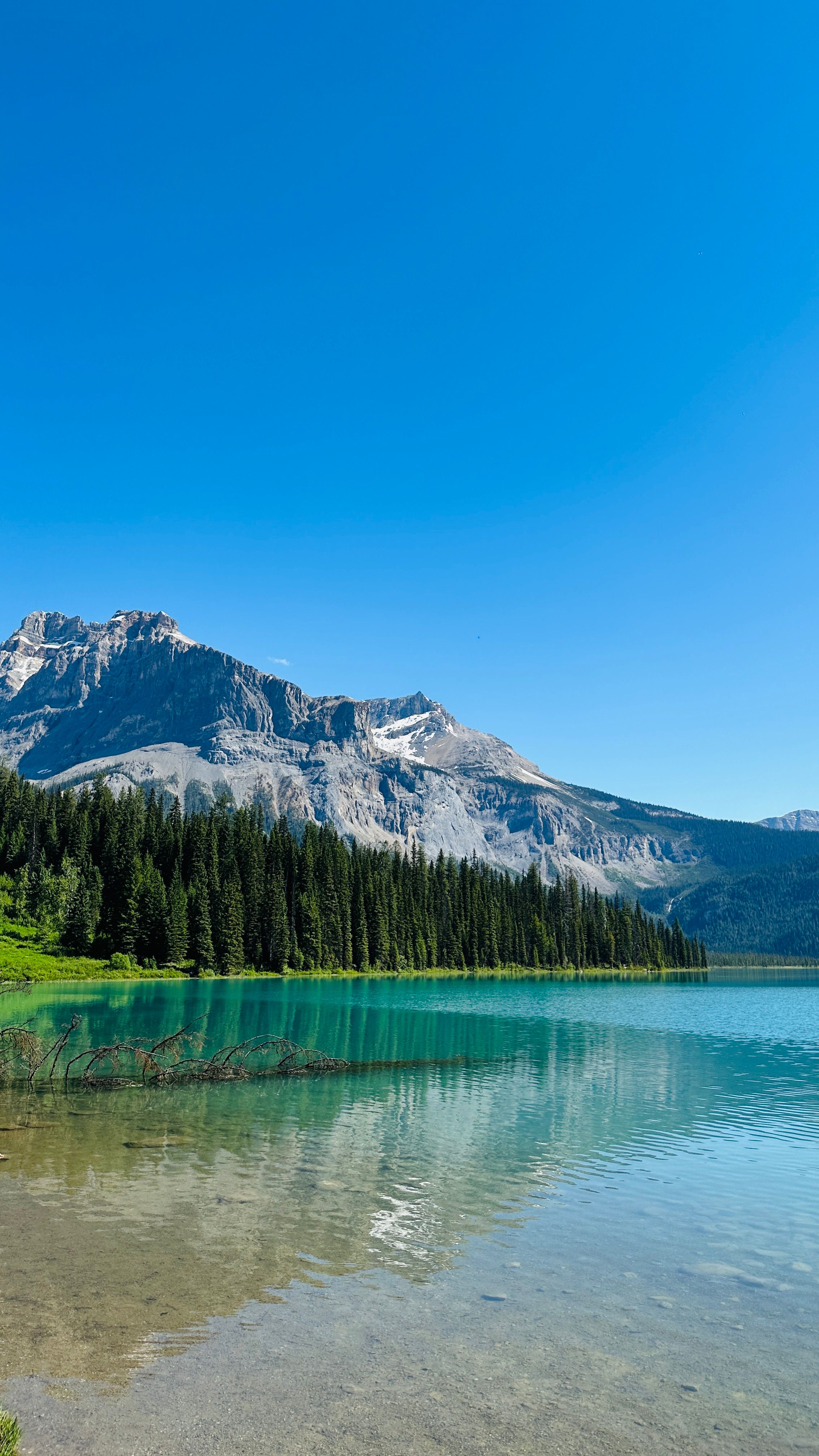 A mountain lake surrounded by trees and grass · Free Stock Photo