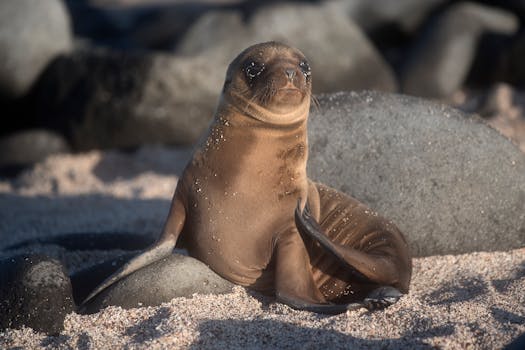 Puerto Ayora, Ecuador photo 4