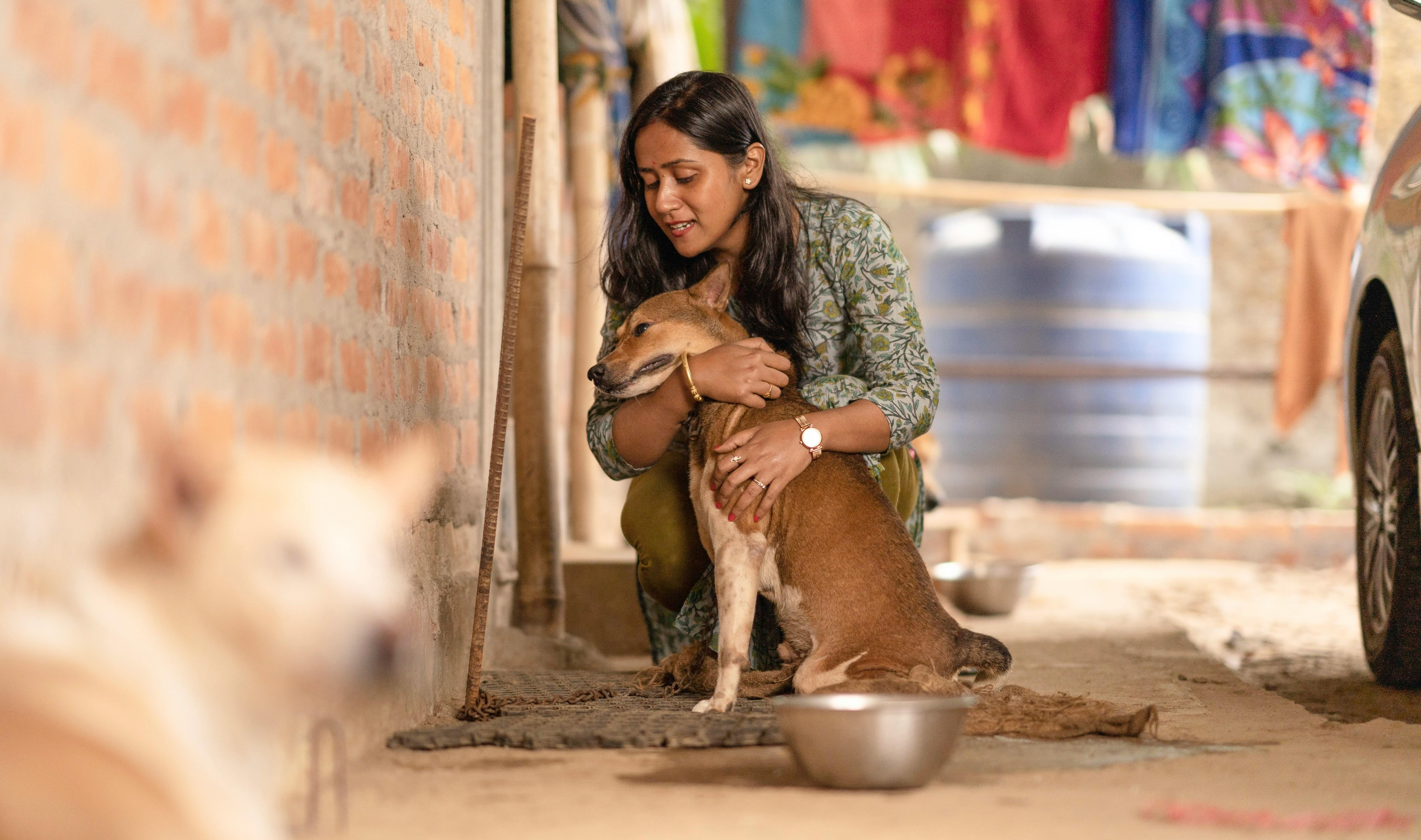 Animal Care Services Offers Pet Safety Tips for Easter — Photo by Pragyan Bezbaruah on Pexels