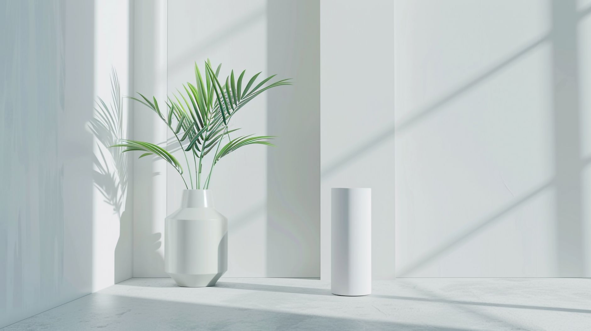 Bright minimalist interior featuring a potted palm leaf casting shadows in a serene room.