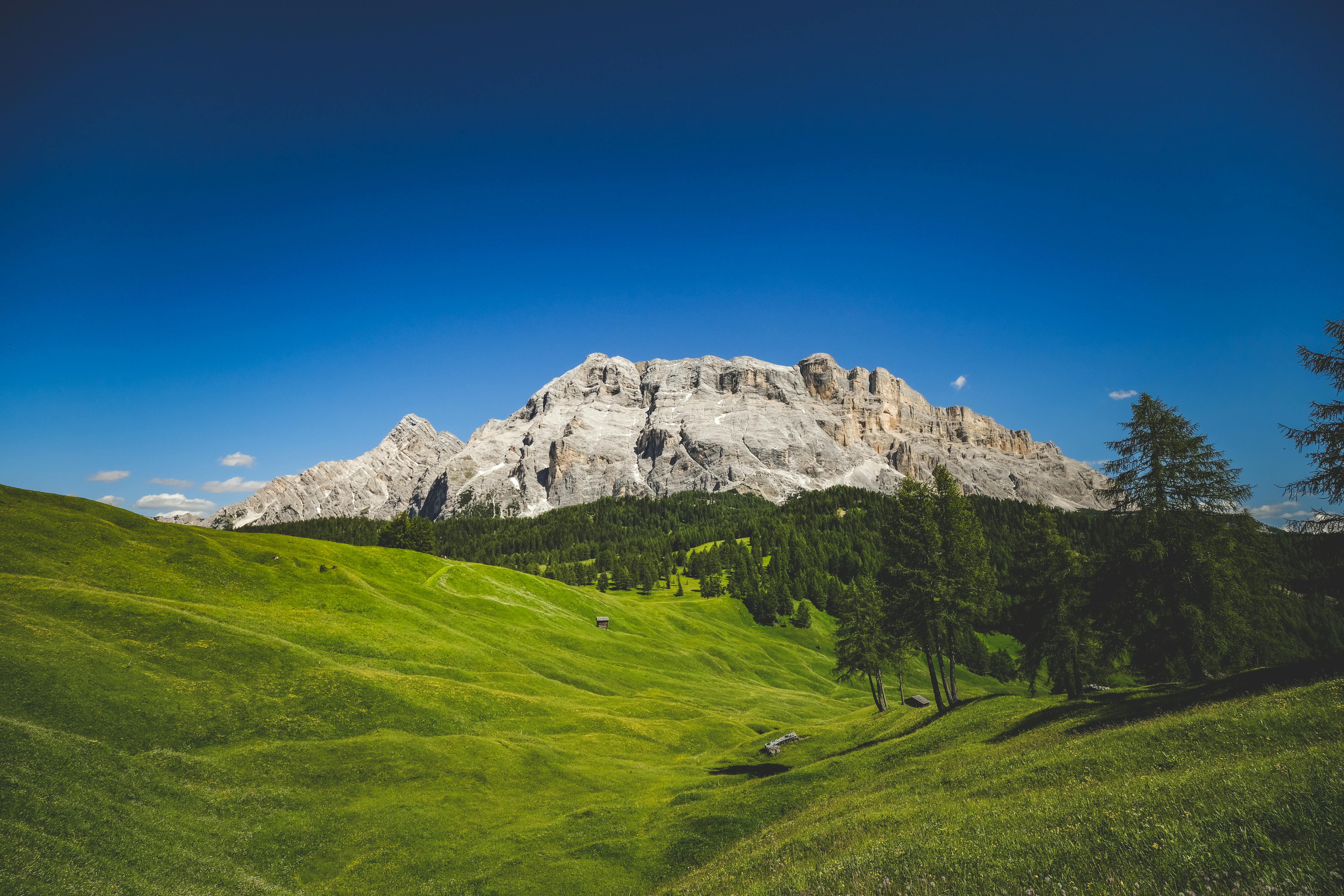 a green grassy field with mountains in the background