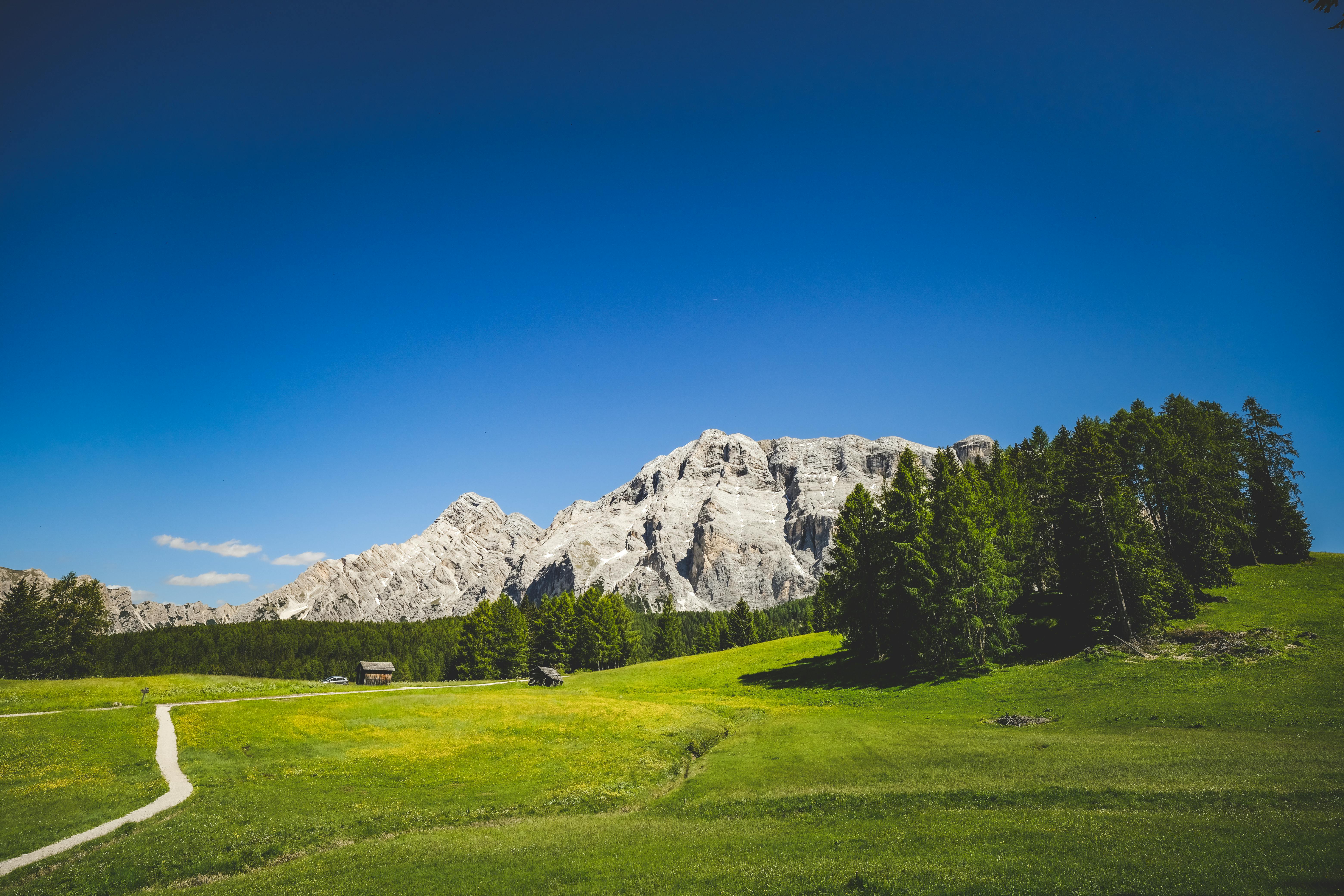 a beautiful green grassy field with mountains in the background