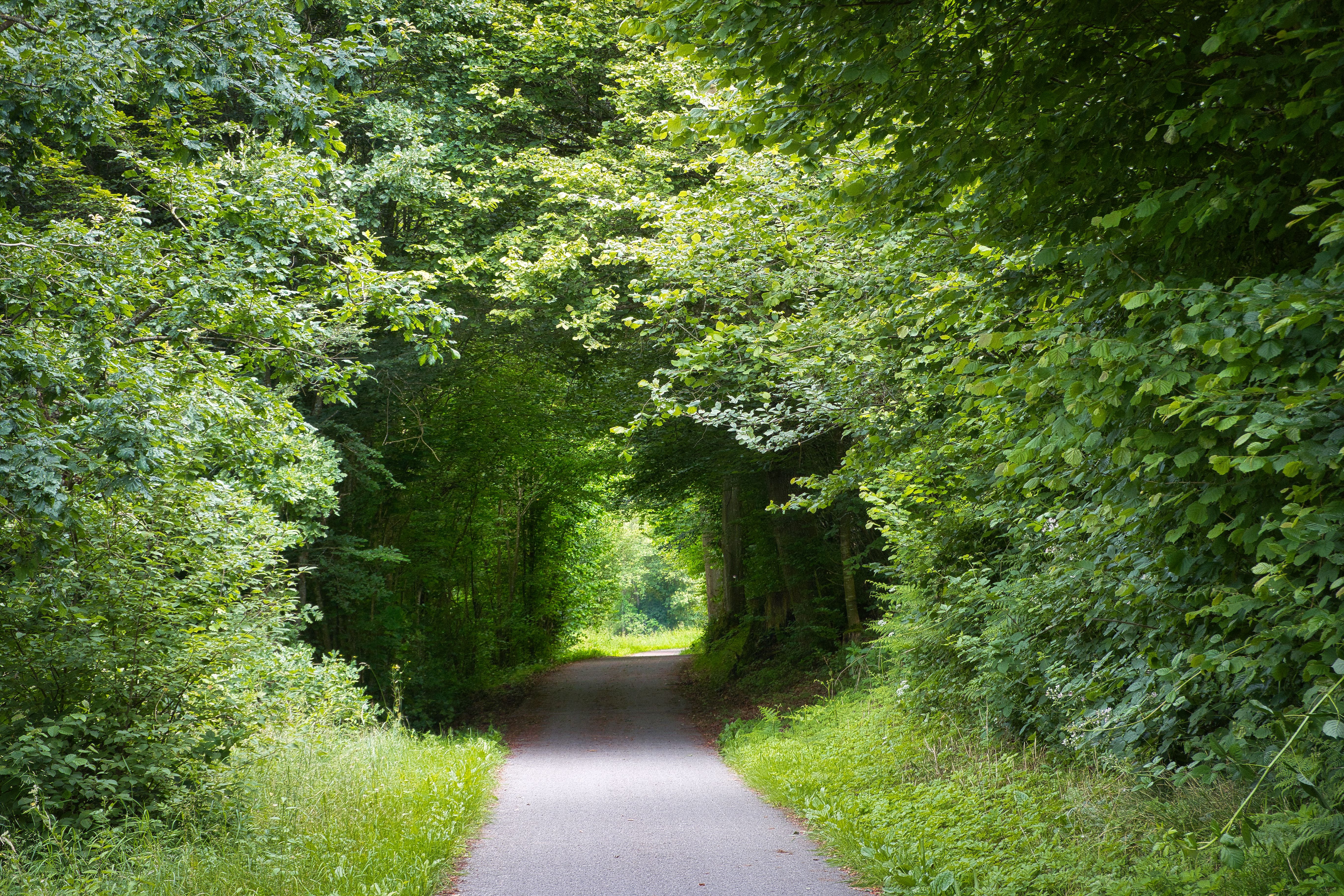 Healthspan White Paper: The Data-Driven Path to Longevity — Photo by Joerg Hartmann on Pexels