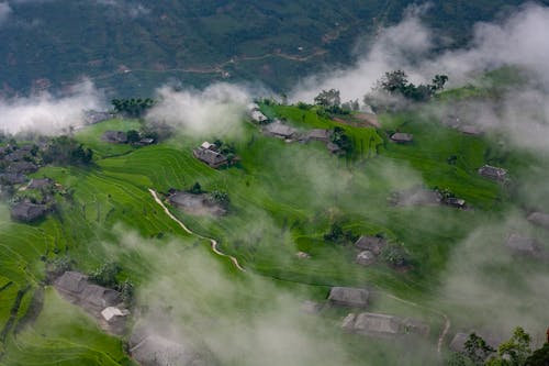 Aerial View Of A Farmland